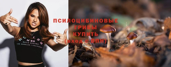 apvp Лиски