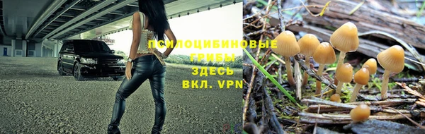 apvp Лиски