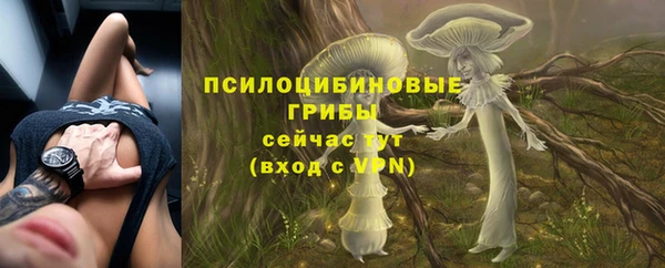 apvp Лиски